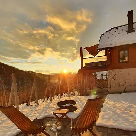 In Kranjska Krain 42897 Tatil Evi Trebnje