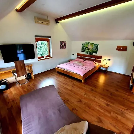 In Kranjska Krain 42897