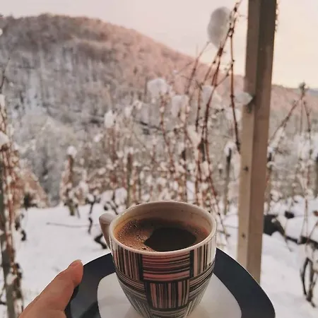 In Kranjska Krain 42897 * Trebnje