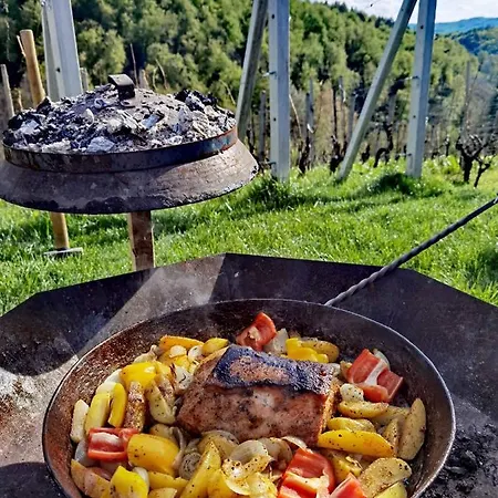 In Kranjska Krain 42897 * Trebnje