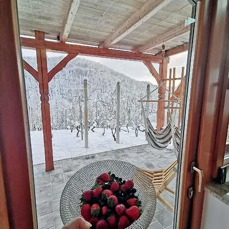 In Kranjska Krain 42897 * Trebnje