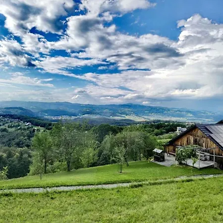 In Kranjska Krain 42897 Tatil Evi