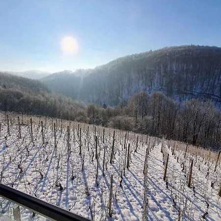 In Kranjska Krain 42897 Tatil Evi