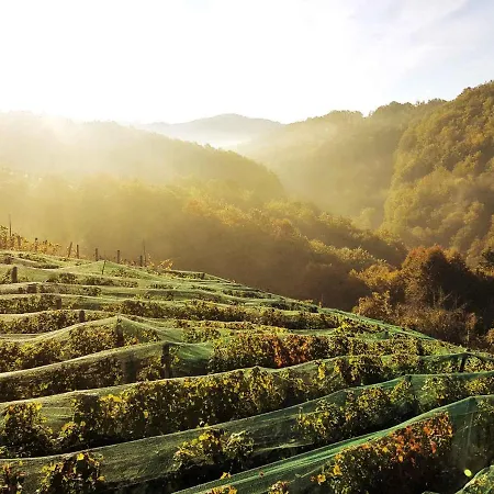 In Kranjska Krain 42897 Trebnje