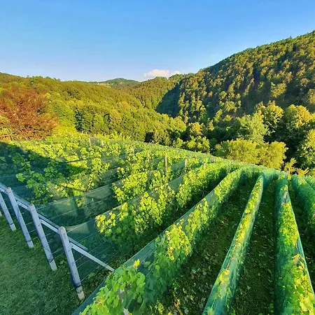 Tatil Evi In Kranjska Krain 42897