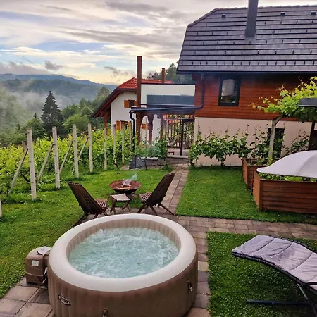 In Kranjska Krain 42897 Tatil Evi Trebnje