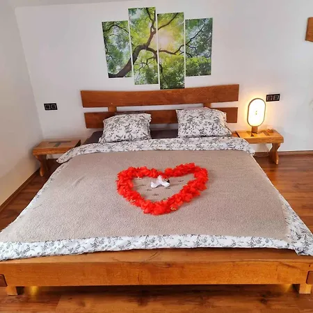 Feriehus In Kranjska Krain 42897 Trebnje
