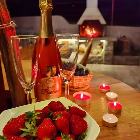 In Kranjska Krain 42897 Tatil Evi *