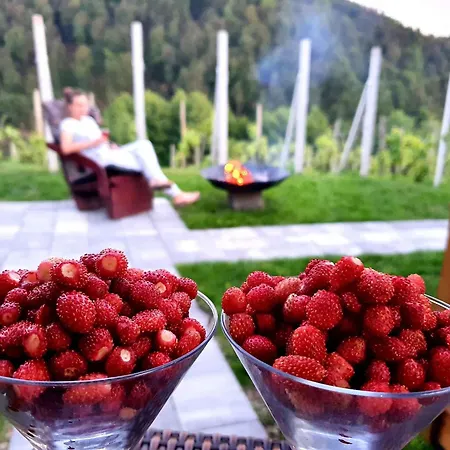 In Kranjska Krain 42897 Tatil Evi Trebnje