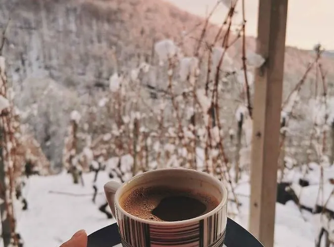 In Kranjska Krain 42897 * Trebnje