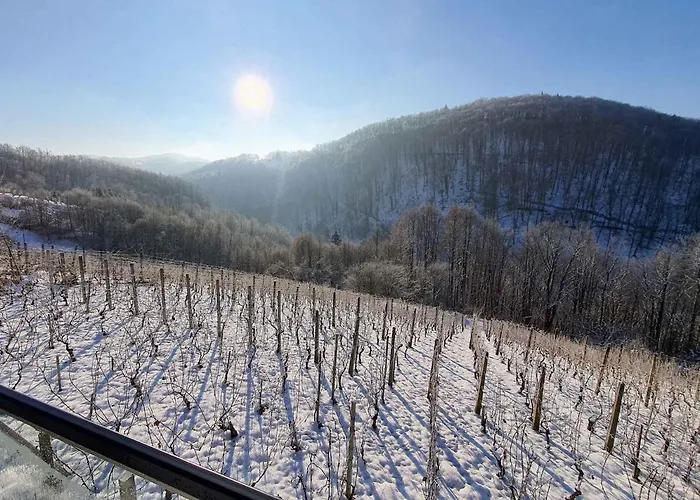 In Kranjska Krain 42897 度假居