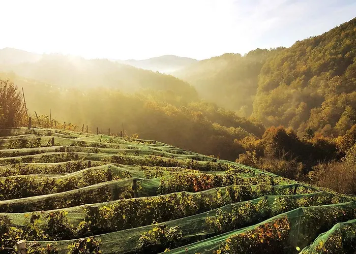 In Kranjska Krain 42897 Trebnje