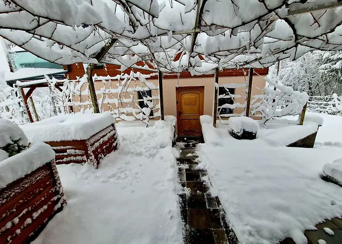 度假居 In Kranjska Krain 42897 *